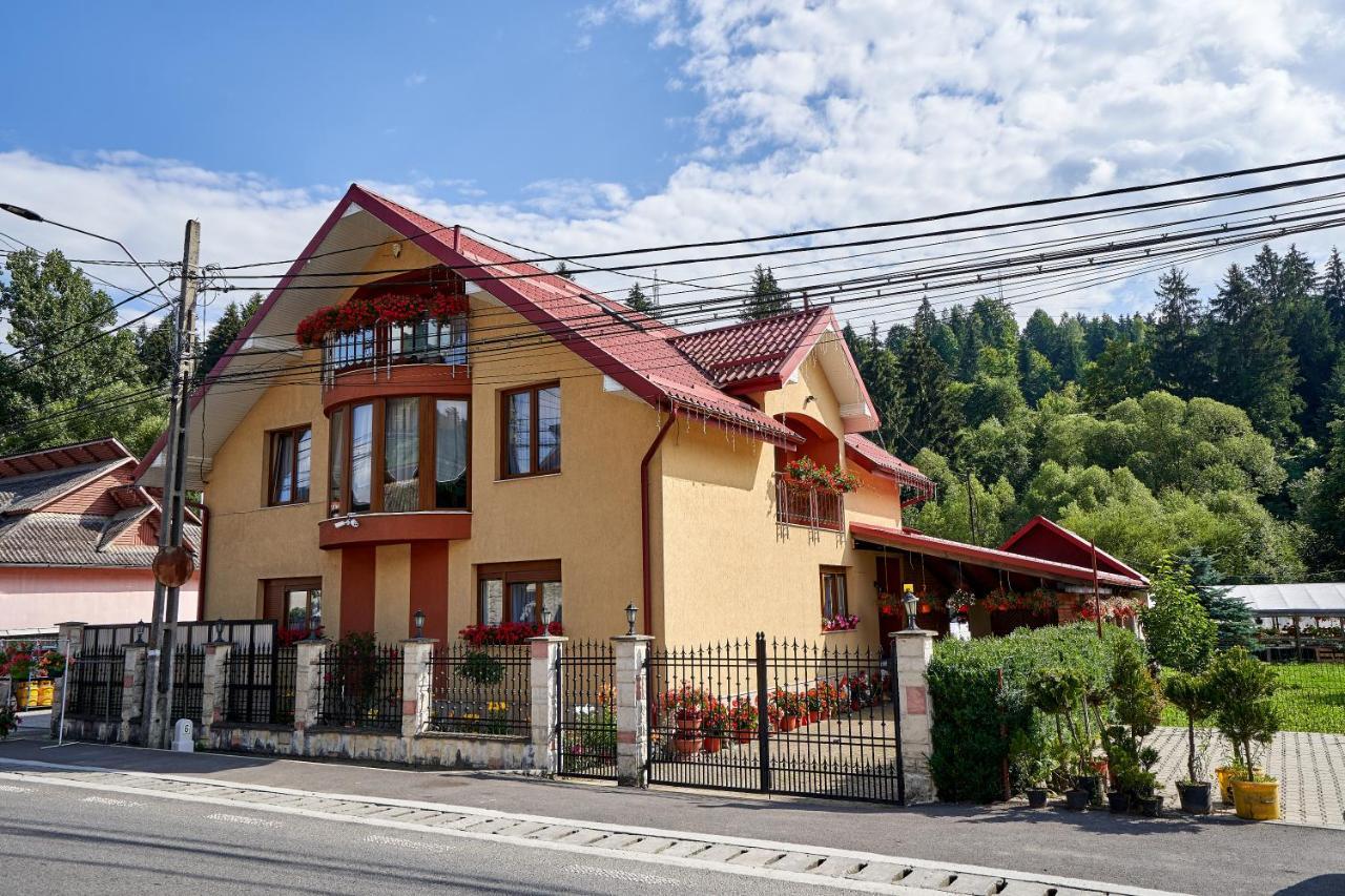 Casa Cu Flori Moisei Hotel Екстериор снимка