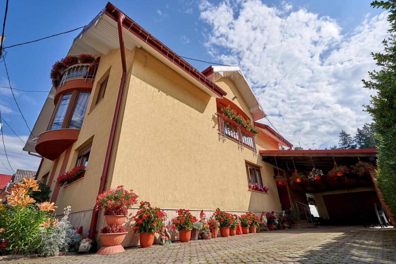 Casa Cu Flori Moisei Hotel Екстериор снимка