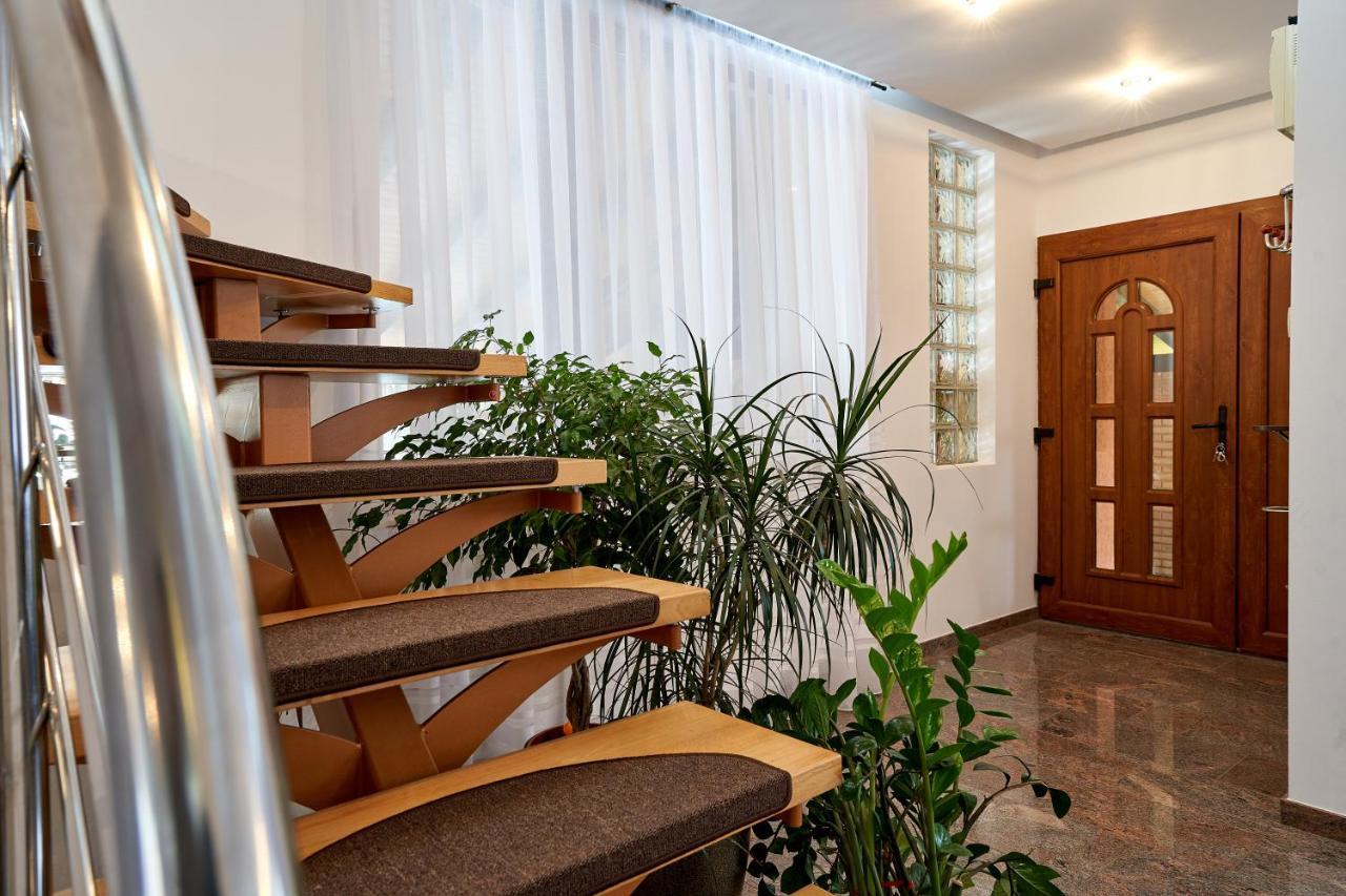 Casa Cu Flori Moisei Hotel Екстериор снимка