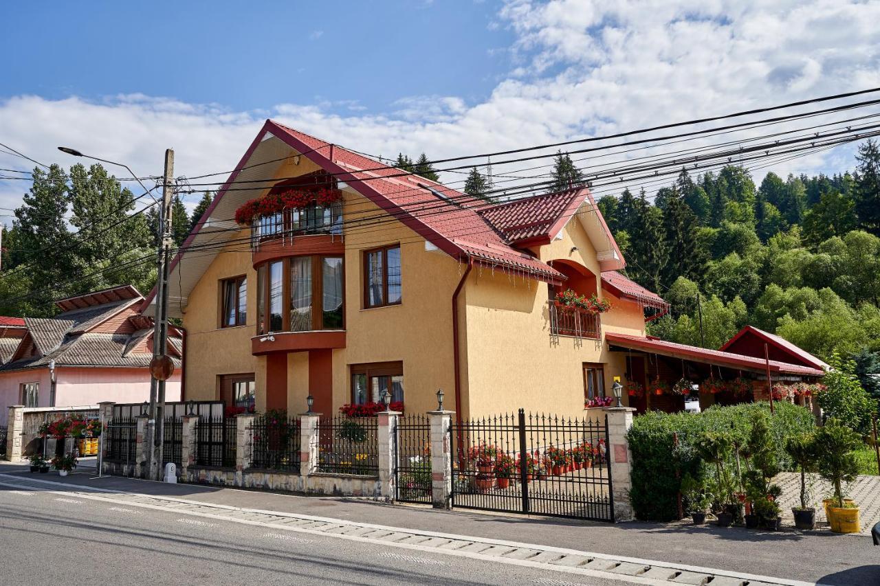 Casa Cu Flori Moisei Hotel Екстериор снимка