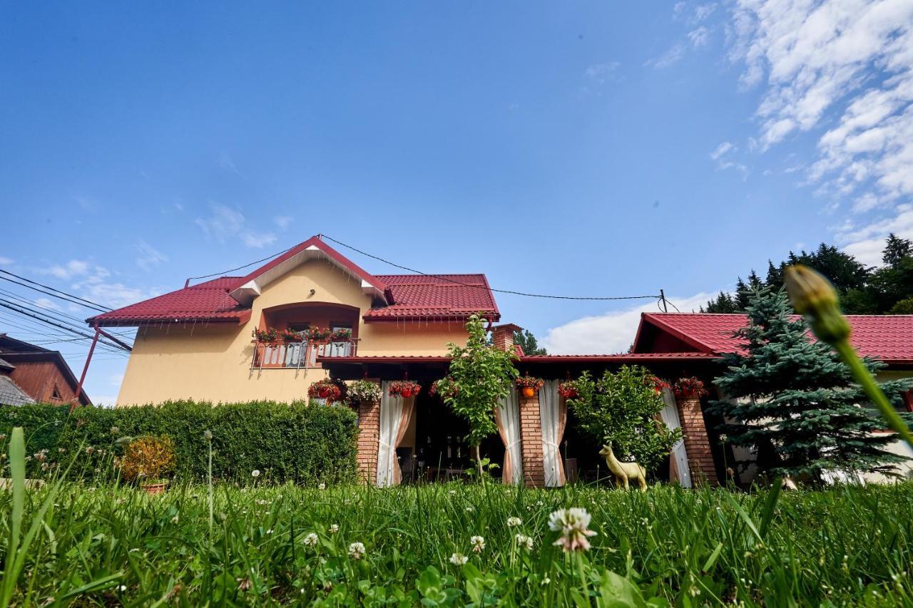Casa Cu Flori Moisei Hotel Екстериор снимка